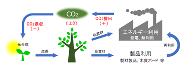 下水処理場における生ごみ受入れ事業の検討に関する技術資料